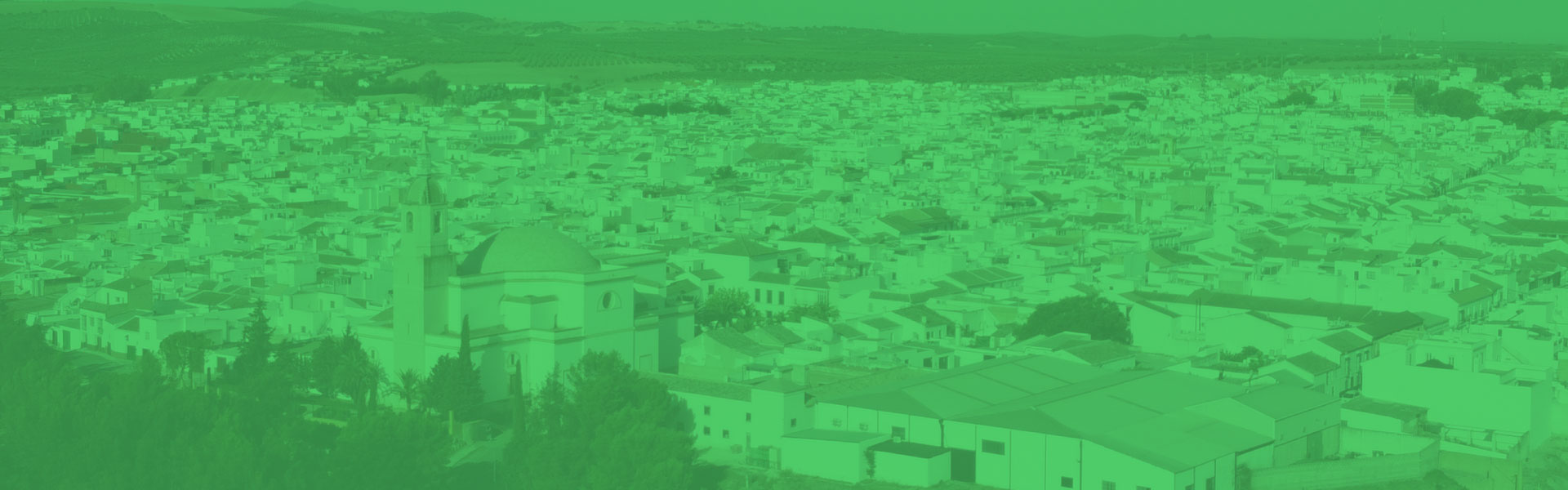 Zona Blog